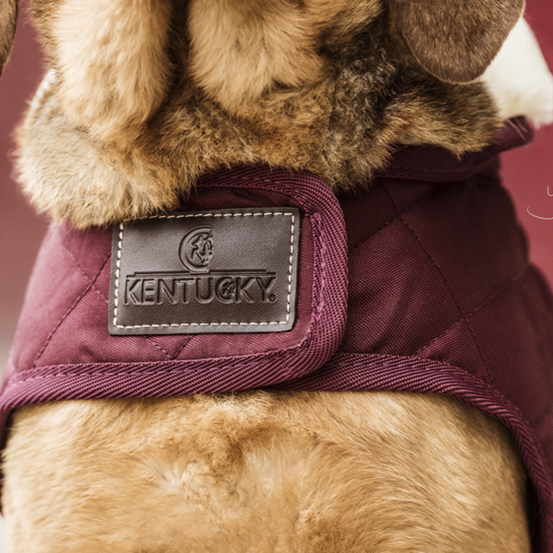Kentucky Dogwear Dog Coat Bordeaux-2
